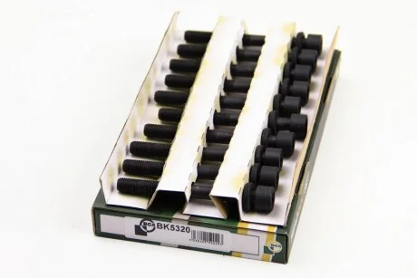 Болти головки блока Astra F/G/H/Omega B/Vectra A/B/Nubira 1.8/2.0i 94- (к-кт) для BGA BK5320 фото товару