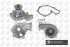 <strong>Водяний насоc Ford Ranger 99-12 2.5-3.0 D BGA CP6920T (фото 1)</strong>