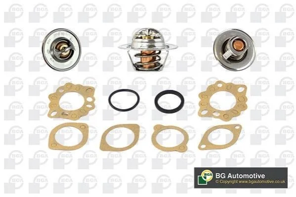 <strong>Термостат BGA CT5530K (фото 1)</strong>
