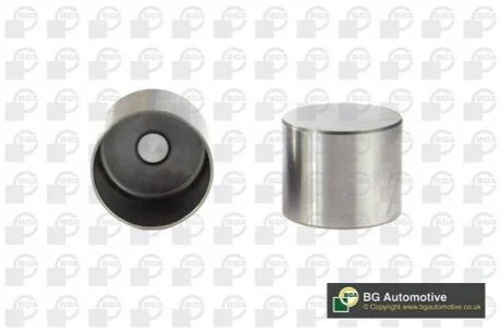 Гідрокомпенсатор для Opel BGA HL9500 фото товару