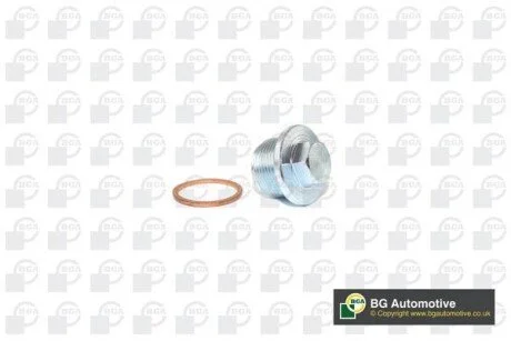 Пробка піддону автомобіля для Audi, Volkswagen, Seat BGA PK0105 фото товару