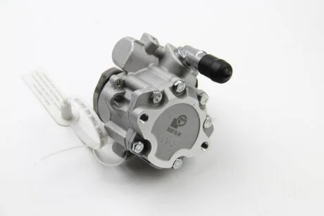 Насос гідропідсилювача керма для Volkswagen, Seat, Skoda BGA PSP0100 фото товару