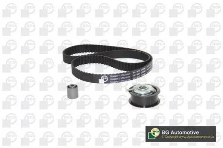 Роликовий модуль натягувача ременя (ролик, ремінь) для Volkswagen, Seat, Ford BGA TB9609K фото товару