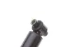 <strong>Амортизатор підвіски BILSTEIN 19-242033 (фото 7)</strong>
