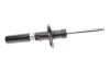 <strong>Сітйка амортизаційна газова передня BILSTEIN 22-131614 (фото 1)</strong>