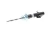 <strong>Амортизатор підвіски BILSTEIN 22-171009 (фото 1)</strong>