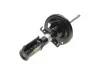 <strong>Ам-тор перед. Renault Scenic 1.5 dCi 09-/Grand Scenic 09- BILSTEIN 22-225269 (фото 1)</strong>