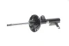 <strong>Амортизатор підвіски BILSTEIN 22-232502 (фото 1)</strong>