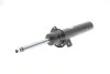 <strong>Амортизатор подвески BILSTEIN 22-241818 (фото 1)</strong>