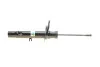<strong>Амортизатор B4 BILSTEIN 22-243102 (фото 11)</strong>