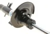 <strong>Амортизатор газомасляний BILSTEIN 22-243119 (фото 9)</strong>
