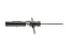 <strong>Амортизатор підвіски BILSTEIN 22-255976 (фото 10)</strong>