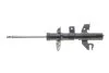 <strong>Амортизатор передній правий BILSTEIN 22267689 (фото 5)</strong>