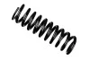 <strong>Пружина підвіски задня BILSTEIN 36-226108 (фото 1)</strong>