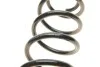 <strong>Пружина підвіски задня (вир-во Bilstein) BILSTEIN 36-300075 (фото 2)</strong>