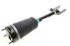 <strong>Пневматичний модуль BILSTEIN 44-165062 (фото 1)</strong>