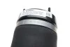<strong>Пневматичний модуль BILSTEIN 44-165062 (фото 3)</strong>