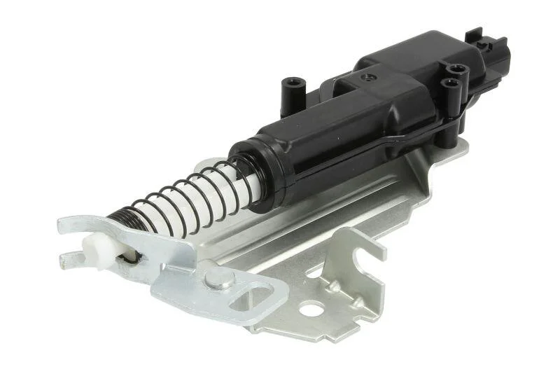 <strong>Електропривід замка багажник/задн (2) FORD FIESTA V, FIESTA VI, FUSION 11.01-04.17 BLIC 601003033449P (фото 1)</strong>