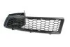 <strong>Решітка бампера передн лів DACIA LOGAN I 09.04-01.09 BLIC 6502071301991P (фото 1)</strong>