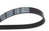 <strong>Ремінь генератора поліклиновий BLUE PRINT AD03R668 (фото 2)</strong>