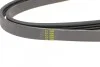 <strong>Ремень П-клиновой 4PK1025 BLUE PRINT AD04R1025 (фото 3)</strong>