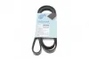 <strong>Ремень 4PK1538 BLUE PRINT AD04R1538 (фото 1)</strong>