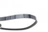 <strong>Ремінь генератора поліклиновий BLUE PRINT AD04R855 (фото 2)</strong>