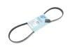 <strong>Ремінь генератора поліклиновий BLUE PRINT AD04R890 (фото 1)</strong>