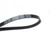<strong>Ремінь генератора поліклиновий BLUE PRINT AD04R946 (фото 2)</strong>
