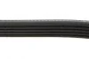 <strong>Ремень 5PK1100 FIAT 2,0 LANCIA HONDA Accord RENAULT 1,4/1,6 TOYOTA 1,8-2,2 ROVER BLUE PRINT AD05R1100 (фото 2)</strong>