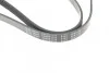 <strong>Ремінь генератора поліклиновий BLUE PRINT AD05R1135 (фото 4)</strong>