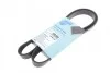 <strong>Ремень П-клиновой 5PK1146 BLUE PRINT AD05R1146 (фото 1)</strong>