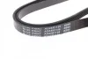 <strong>Ремень П-клиновой 5PK1146 BLUE PRINT AD05R1146 (фото 2)</strong>
