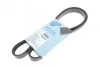 <strong>Ремінь генератора поліклиновий BLUE PRINT AD05R1220 (фото 1)</strong>