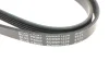 <strong>Ремінь генератора поліклиновий BLUE PRINT AD05R1230 (фото 4)</strong>
