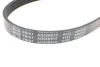 <strong>Ремінь генератора поліклиновий BLUE PRINT AD05R915 (фото 4)</strong>
