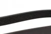 <strong>Ремень поликлиновый 6PK1080 SUBARU Outback 3,6 09-, HONDA BLUE PRINT AD06R1080 (фото 2)</strong>