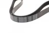<strong>Ремень поликлиновый 6PK1080 SUBARU Outback 3,6 09-, HONDA BLUE PRINT AD06R1080 (фото 3)</strong>