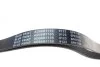 <strong>Ремінь генератора поліклиновий BLUE PRINT AD06R1105 (фото 2)</strong>