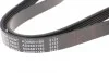 <strong>Ремінь генератора поліклиновий BLUE PRINT AD06R1180 (фото 3)</strong>