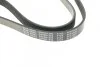 <strong>Ремінь генератора поліклиновий BLUE PRINT AD06R1200 (фото 3)</strong>