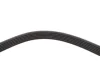 <strong>Пасок велоклиновий BLUE PRINT AD06R1230 (фото 3)</strong>