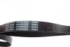 <strong>Ремінь генератора поліклиновий BLUE PRINT AD06R1805 (фото 2)</strong>