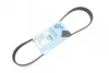 <strong>Ремінь генератора поліклиновий BLUE PRINT AD06R805 (фото 1)</strong>