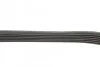 <strong>6PK870 PEUGEOT Partner, Expert, 206/306 98- BLUE PRINT AD06R870 (фото 2)</strong>