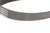 <strong>6PK870 PEUGEOT Partner, Expert, 206/306 98- BLUE PRINT AD06R870 (фото 3)</strong>