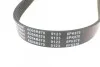 <strong>6PK870 PEUGEOT Partner, Expert, 206/306 98- BLUE PRINT AD06R870 (фото 4)</strong>
