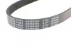 <strong>Ремень 6PK894 OPEL Astra F 1,4/1,6 VW 1,6-2,0: Golf, Passat SEAT BLUE PRINT AD06R894 (фото 4)</strong>