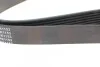 <strong>Ремінь генератора поліклиновий BLUE PRINT AD07R1153 (фото 3)</strong>
