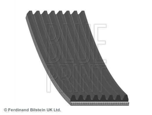 <strong>Ремінь поліклиновий 8PK1355 BLUE PRINT AD08R1355 (фото 1)</strong>